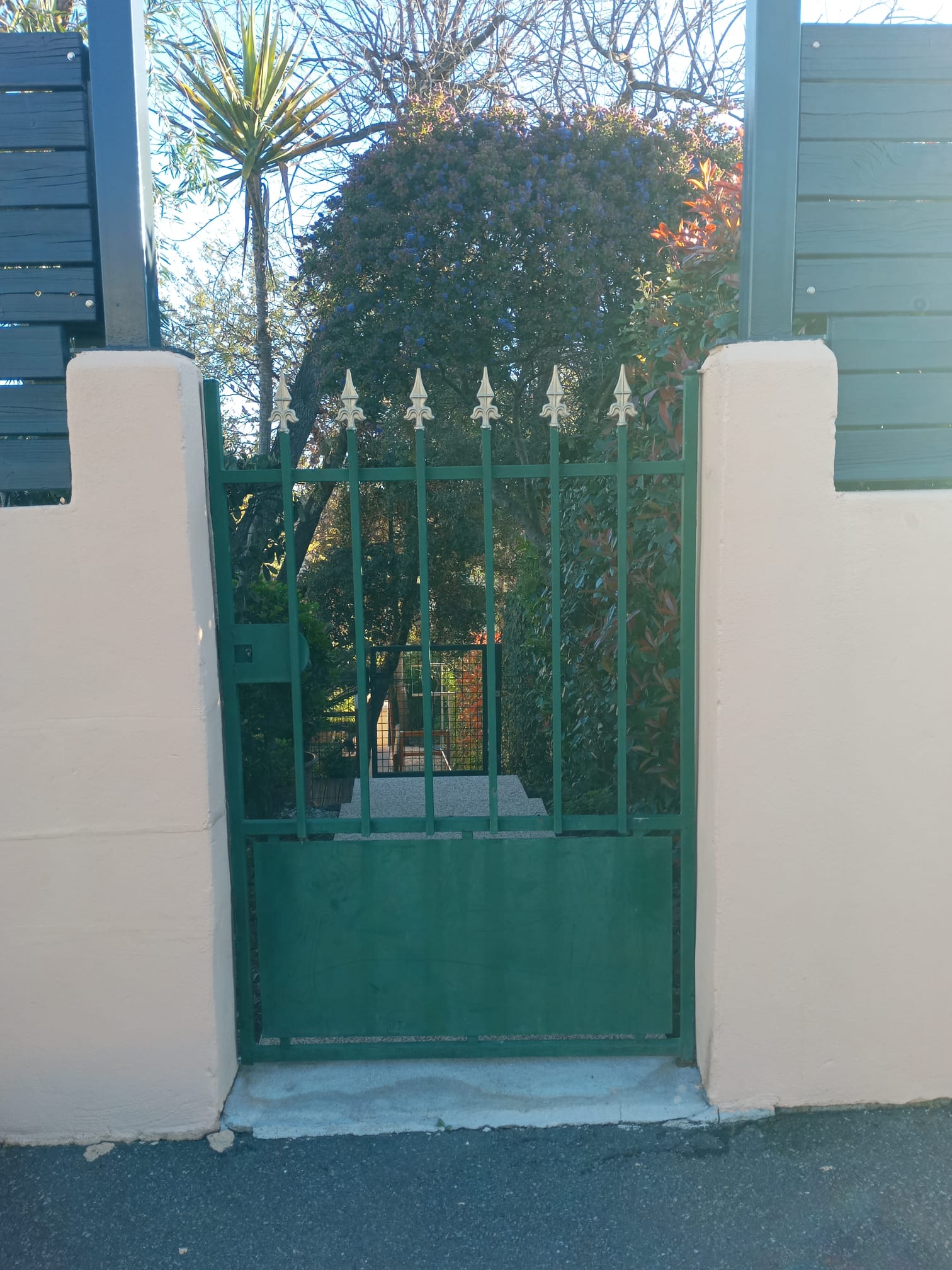 02/04/2025 POSE PORTE ENTREE ET PORTILLON 