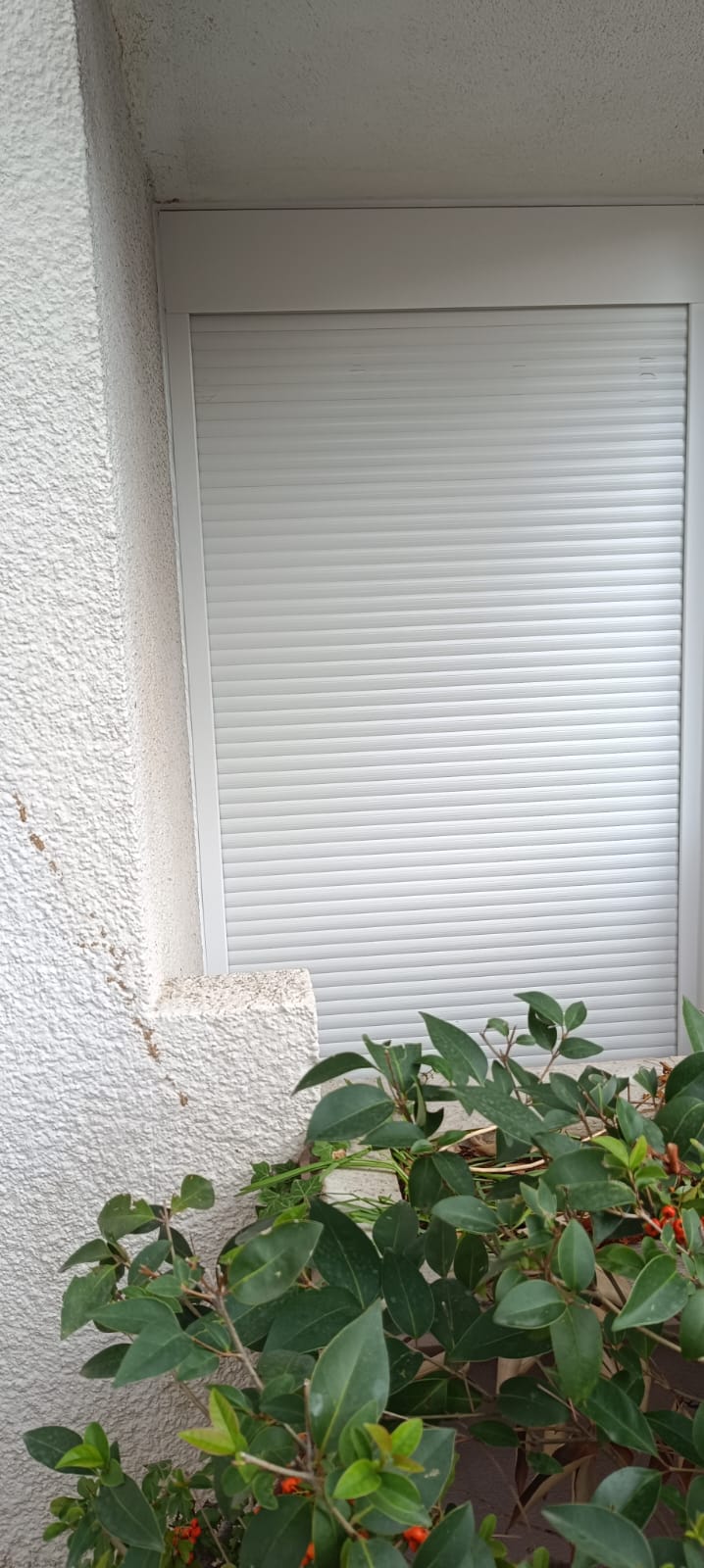 cliquez pour lancer le diaporama